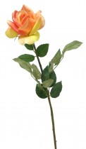 RӯA HERBACIANA BA-BF2008-1430 